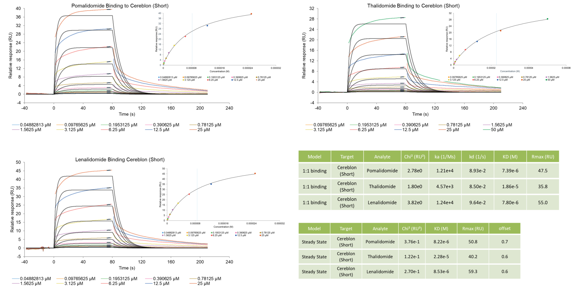 Cereblon CULT Domain SPR Assay Service Reaction Biology
